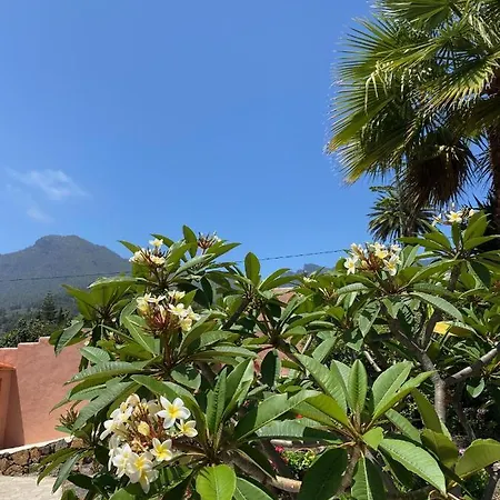 Casa Palmera Canaria, Frueher Sambal Holiday home